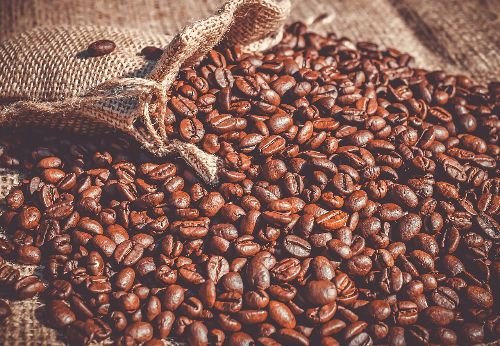 Exportações de café do Brasil somam 3,3 milhões de sacas em fevereiro, com recorde de receita