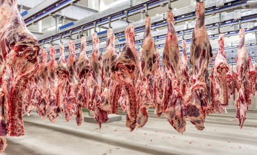 Bósnia e Herzegovina abre mercado para carne bovina brasileira