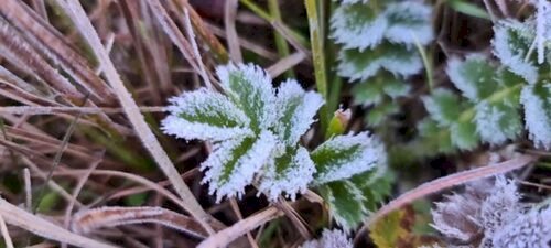 Sexta-feira começa com baixas temperaturas no Rio Grande do Sul