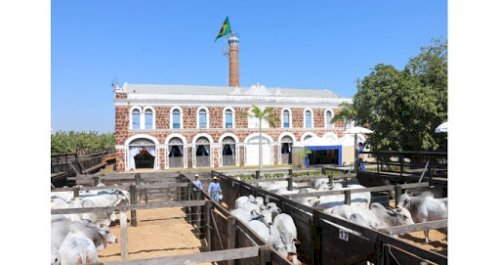 Agropecuária Grendene em Cáceres está sendo vendida ao empresário Júnior da Friboi