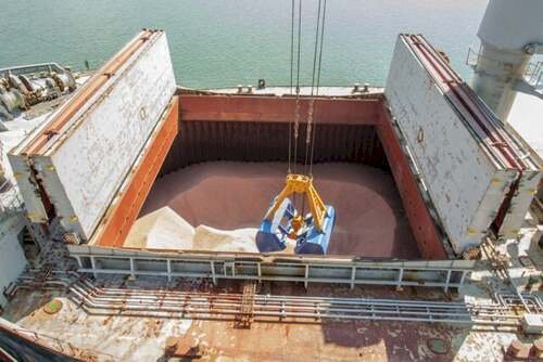 Tensão Brasil X EUA pode afetar fornecimento de fertilizantes