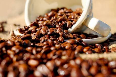 Preços do café caem com tarifas e safra farta