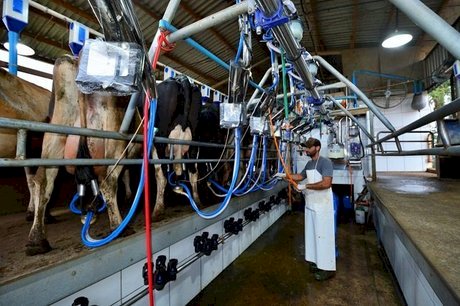 Preços de derivados lácteos sobem em julho no Paraná