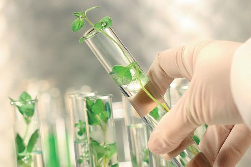 Paraná vai custear análises laboratoriais para pequenas agroindústrias