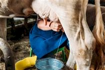 Câmara avança com projeto que amplia benefícios fiscais para agricultores familiares