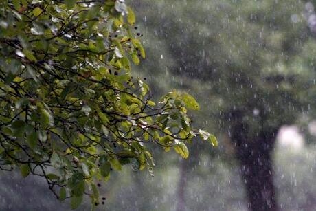 Chuva volta ao RS nesta quinta; calor intenso e risco de incêndios seguem em outras regiões