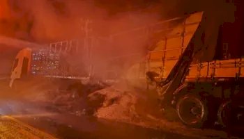 Raio mata dez bois no Amazonas e incêndio destrói carga de soja em Mato Grosso