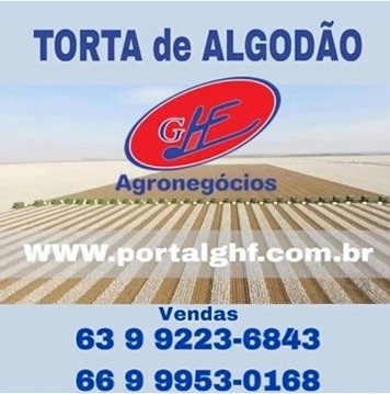 StoneX projeta queda de 7% na safra de algodão brasileiro em 2025/26