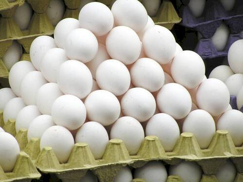 Envio irregular de ovos dos EUA é barrado no Brasil
