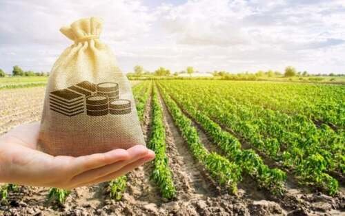 Novo sistema de cadastro rural promete transparência, mas amplia rigor fiscal