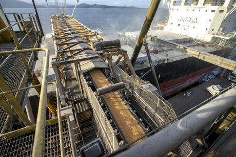 Brasil precisa exportar mais milho para reduzir estoques