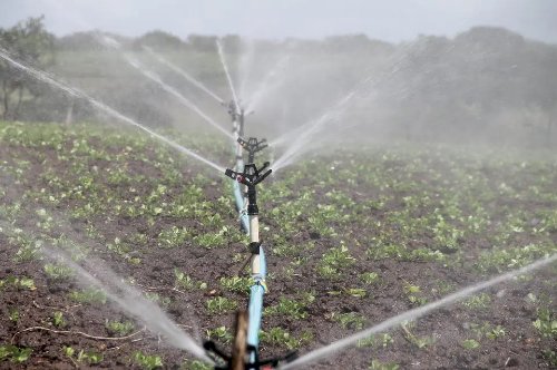 Irrigantes de MT temem inviabilidade de safras após mudanças em descontos de energia