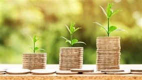Lei cria Plano Safra específico para agricultura familiar e reforça crédito do Pronaf