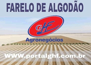 Exportações e dólar podem aliviar pressão no algodão