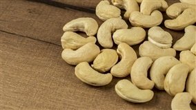 Brasil exportará castanha-do-Brasil à Costa Rica