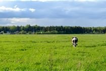 Agro pode ser parte da solução para o freio da emergência climática