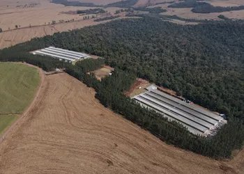 GTF inaugura unidade de ovos férteis no Paraná e amplia controle da produção avícola