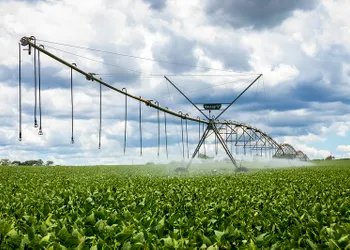 ACP Bioenergia chega à Bahia com novo polo agrícola irrigado e parceria inédita