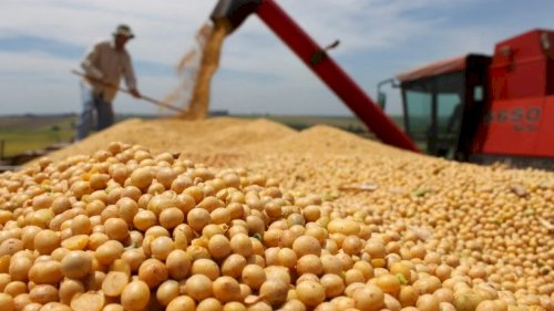 Soja brasileira deve atingir produção recorde