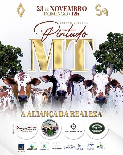 LEILÃO VIRTUAL PINTADO MT