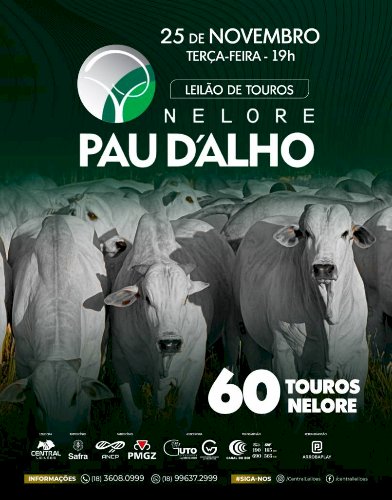 LEILÃO DE TOUROS NELORE PAU D'ALHO