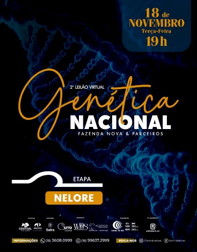 2º LEILÃO VIRTUAL GENÉTICA NACIONAL - FAZENDA NOVA & PARCEIROS - ETAPA NELORE