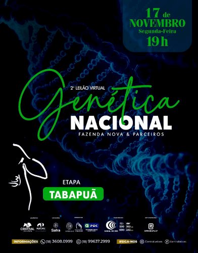 2º LEILÃO VIRTUAL GENÉTICA NACIONAL - FAZENDA NOVA & PARCEIROS - ETAPA TABAPUÃ