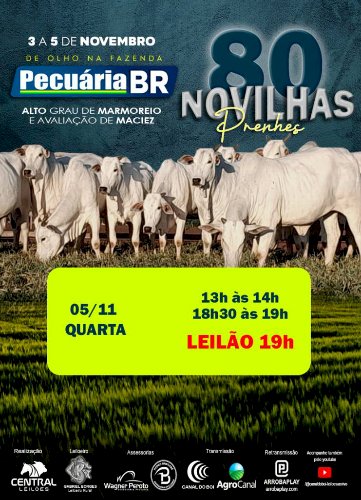 DE OLHO NA FAZENDA PECUÁRIA BR