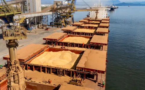 Exportações de soja devem alcançar 7 milhões de toneladas em outubro, aponta Anec