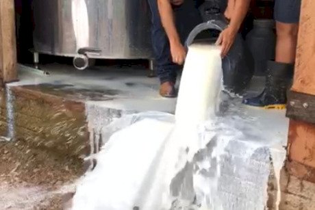 Presidente João Martins, da CNA, acaba de fazer pronunciamento em defesa dos PRODUTORES DE LEITE do BRASIL