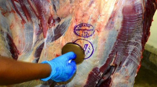 Preço do boi gordo sobe em todas as regiões e arroba ultrapassa R$ 320 em São Paulo