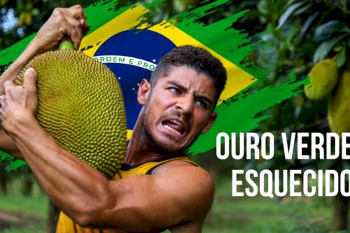 Jaca: O ouro verde esquecido que pode revolucionar a agricultura brasileira