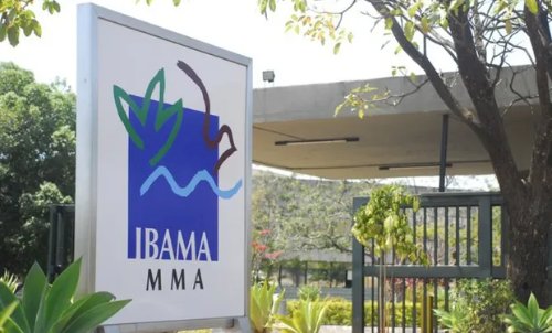 Ibama descobre R$ 25 milhões em empréstimos rurais irregulares e aciona bancos públicos