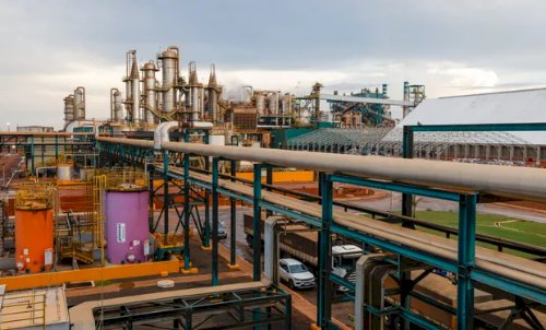 CerradinhoBio cresce no etanol e no açúcar e vê lucro subir 142 porcento