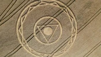 Desenhos gigantes surgem em lavoura de trigo e intrigam produtores em SC