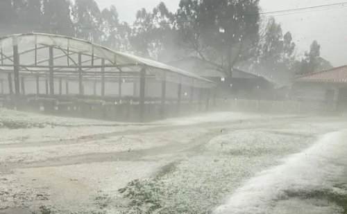 Santa Catarina anuncia força-tarefa e pacote de investimentos para reconstrução e apoio ao agronegócio