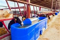 Os consumidores tem se preocupado mais com o uso da água no setor lácteo