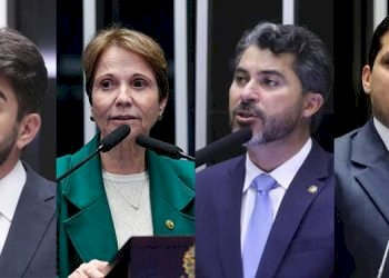 FPA derruba vetos ao Licenciamento Ambietal e recupera texto original aprovado por ampla maioria no Congresso Nacional