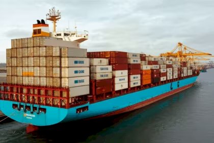 Exportações de pescados ganha impulso com novo convênio firmado entre ApexBrasil e Abipesca