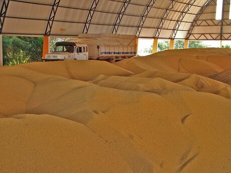 Venda de soja segue lenta