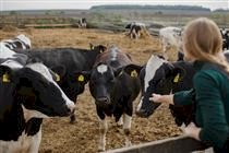 SE consolida maturidade sanitária e fortalece vigilância após retirada da vacinação contra a aftosa