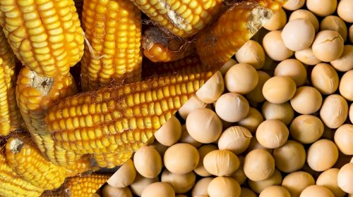 Cotações Agropecuárias