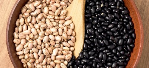 Exportação de feijão atinge recorde histórico em 2025, enquanto mercado interno é marcado pela cautela