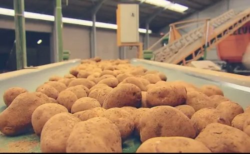 McCain vai investir R$ 1,8 bilhão para ampliar fábrica em Minas Gerais