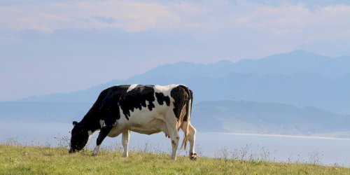 Mapeamento do MapBiomas detalha intensificação da agricultura e saúde das pastagens no Brasil
