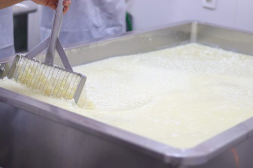 Depois do Paraná, Goiás proíbe a venda de leite líquido feito a partir de leite em pó importado