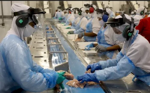 Agroindústria cresce 0,8% em outubro e zera perdas no acumulado de 2025