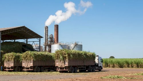 Etanol ganha espaço como investimento com demanda global aquecida