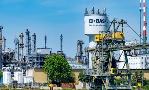 Basf adquire empresa de controle biológico de pragas AgBiTech