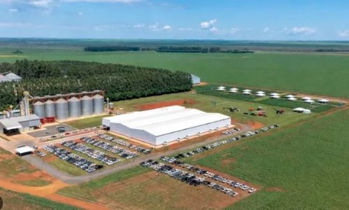 Com dívida de R$ 1,3 bilhão, Grupo Formoso pede recuperação judicial